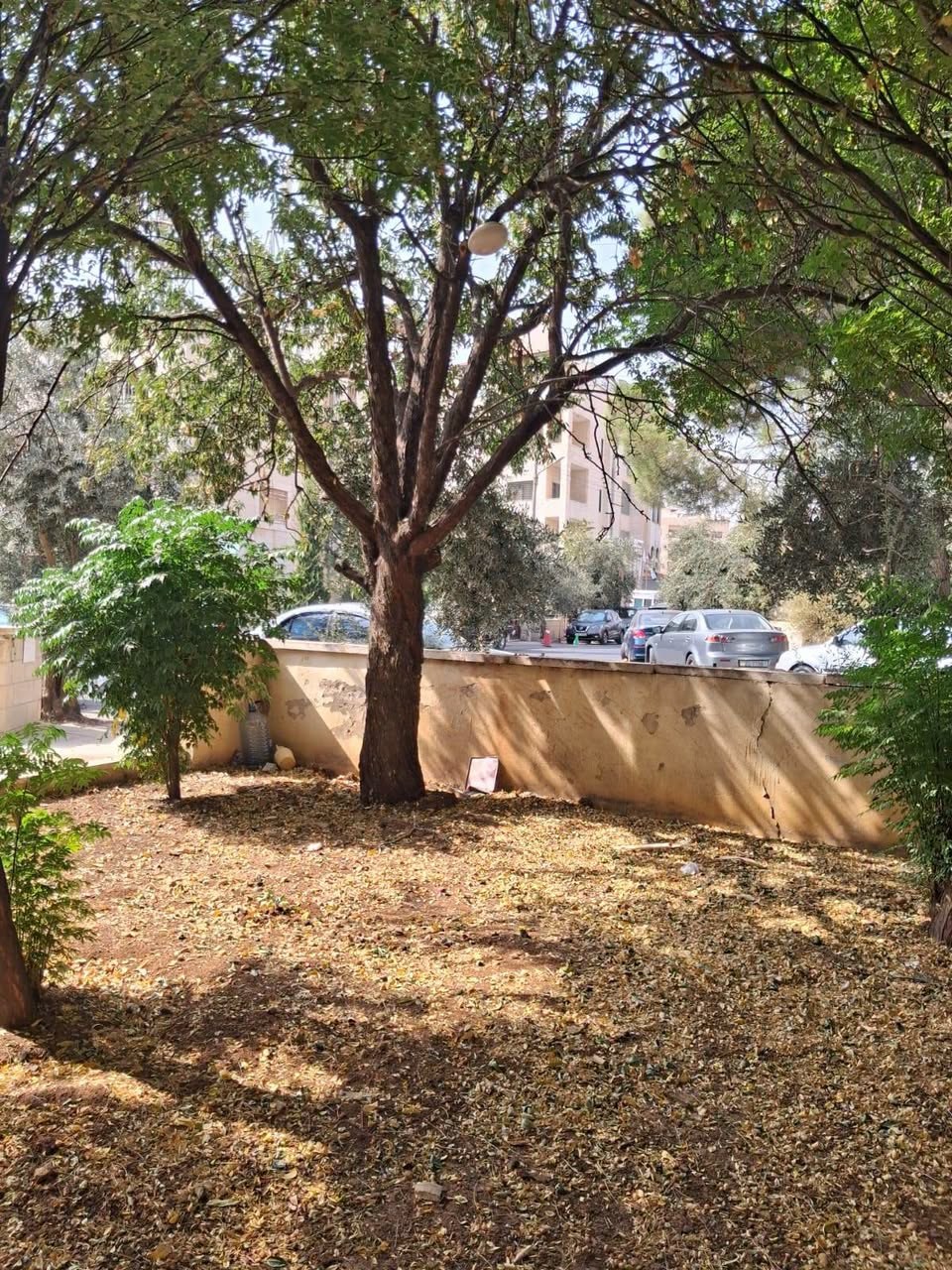 Two-Storey Renovation Home on a 500 m² Plot in Umm Zuweitina, Amman — photo 2